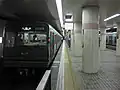 Tanimachi Line platforms