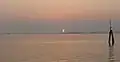 From Venice, Italy