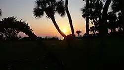 Sunset from the Manasota Beach Club