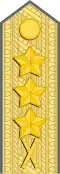 Generallöjtnant[50] (Swedish Army)