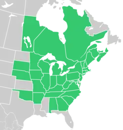 Symphyotrichum cordifolium native distribution: Canada — Manitoba, New Brunswick, Nova Scotia, Ontario, Prince Edward Island, and Québec; US — Alabama, Arkansas, Connecticut, District of Columbia, Georgia, Illinois, Indiana, Iowa, Kentucky, Maine, Maryland, Massachusetts, Michigan, Minnesota, Missouri, Nebraska, New Hampshire, New Jersey, New York, North Carolina, Ohio, Oklahoma, Pennsylvania, Rhode Island, South Carolina, South Dakota, Tennessee, Vermont, Virginia, West Virginia, and Wisconsin.