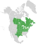 Map of North America with green shading. Data source Brouillet et.al., Flora of North America