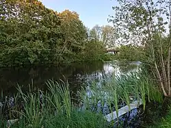 Tõrvandi pond
