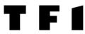Wordmark used as a transitional logo from 1989 to 1990.
