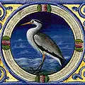 Animali