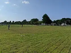 Lawn area
