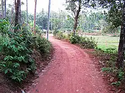Velippara footpath