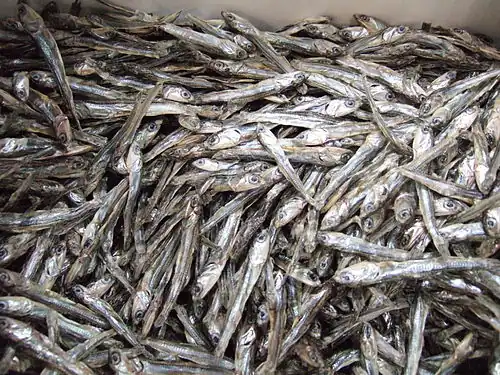Tazukuri, dried and candied Japanese anchovy