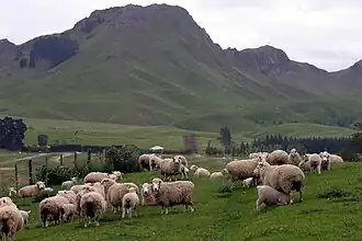 Peak from Tuki Tuki