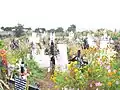 San Francisco Tetlanohcan has a flower covered cemetery.