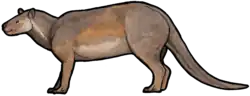 fossil skull of early ungulate Tetraclaenodon puercensis