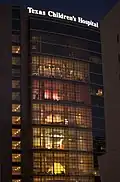 The hospital in 2009 (Wallace tower)
