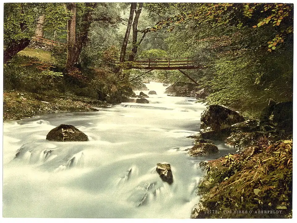 A view along the ravine at the Birks of Aberfeldy.
