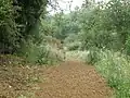 The Nene Way near Wadenhoe