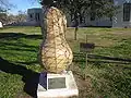 The "Peanut Marker" at the Wilson County Courthouse lawn commemorates the life of Joe T. Sheehy (1886–1967), who introduced peanut farming to the area in 1916.