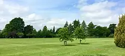The cricket pitch