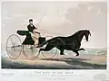 Dexter driven by his owner, Mr. Robert Bonner of the New York Ledger, at Prospect Park, Brooklyn, August 31, 1869