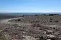 The level top of ruin, looking south