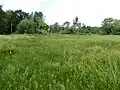 Thelnetham Fen