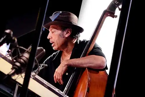 Garnier in 2015