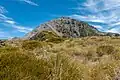 Top of Mount Foweraker