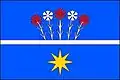 Flag of Toušice