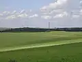 Toyd Down