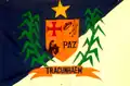 Flag of Tracunhaém