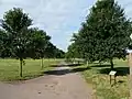 Avenue of 'New Horizon', Pontcanna Fields, Cardiff (2012)[15]