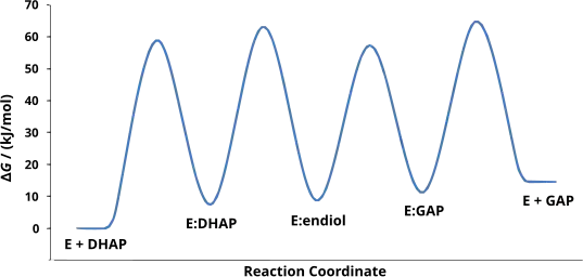 Free energy changes