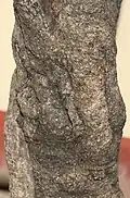 A Nyctanthes trunk from India
