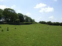 Bowl barrow 510 m south east of Lodmore Farm