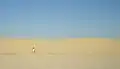 Sand dunes near Nefta