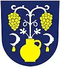 Coat of arms of Tupesy