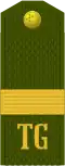 Uly seržant (Turkmen Ground Forces)[33]