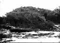 Turtle Mound in 1924