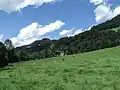 between Walchsee and Rettenschoss, panorama