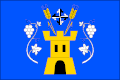 Flag of Tvořihráz