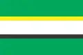 Flag of Andrushivka Raion