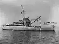 Blackthorn circa 1945