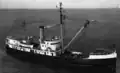 Lilac in 1946