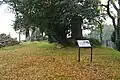 Site of the tenshu