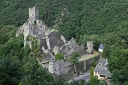 Ruins of the Niederburg