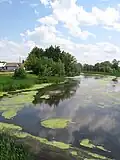 Uts River in its upstream between Vysoky Hutor and Uts village, Dobrush District, Gomel Region