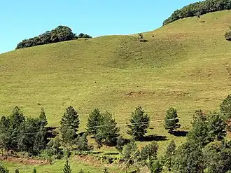 Deforested area