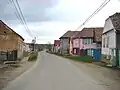 Village road