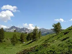 Vallon de Mollières, Mercantour National Park in the Alpes-Maritimes