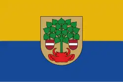 Flag of Valmiera