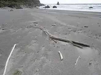 Nest from afar