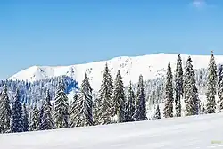 Cârligați Peak [ro]